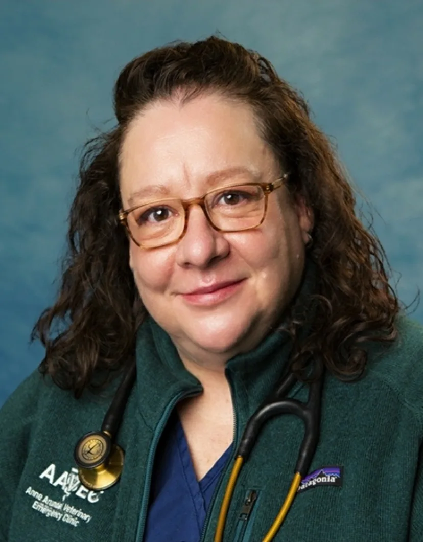 Dr. Eliza Eisenhawer's staff photo where she is holding a small brown dog in her arms.